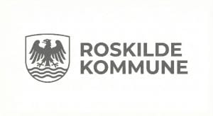 lille logo 2